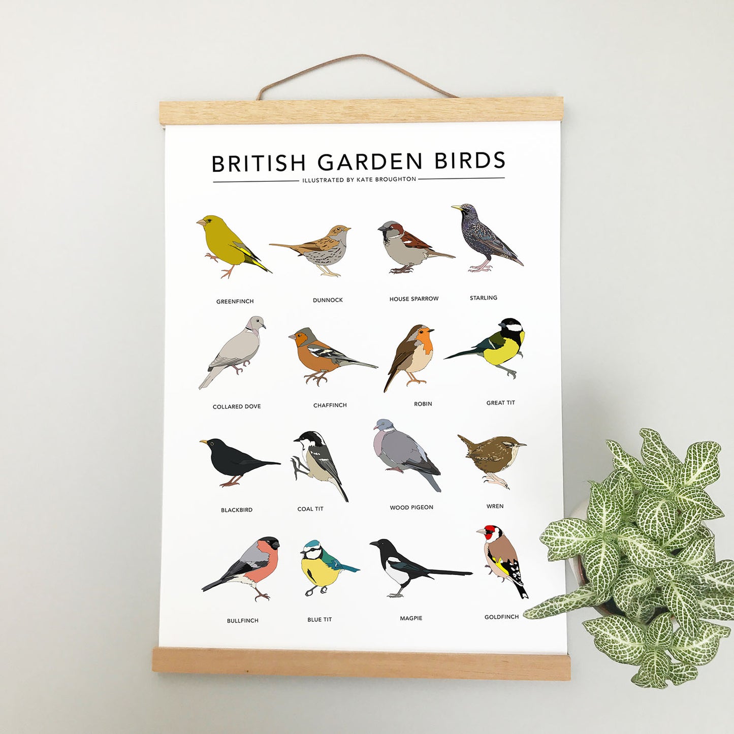British Garden Birds Print - katebroughton