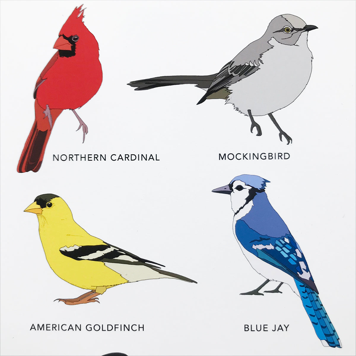 Birds of North America Print