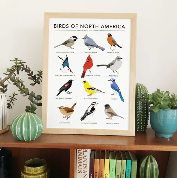 Birds of North America Print