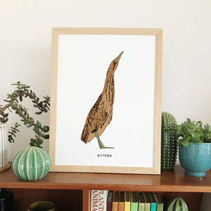 Bittern bird print