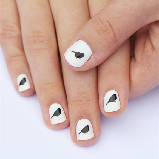 Black Bird Nail Art Transfers