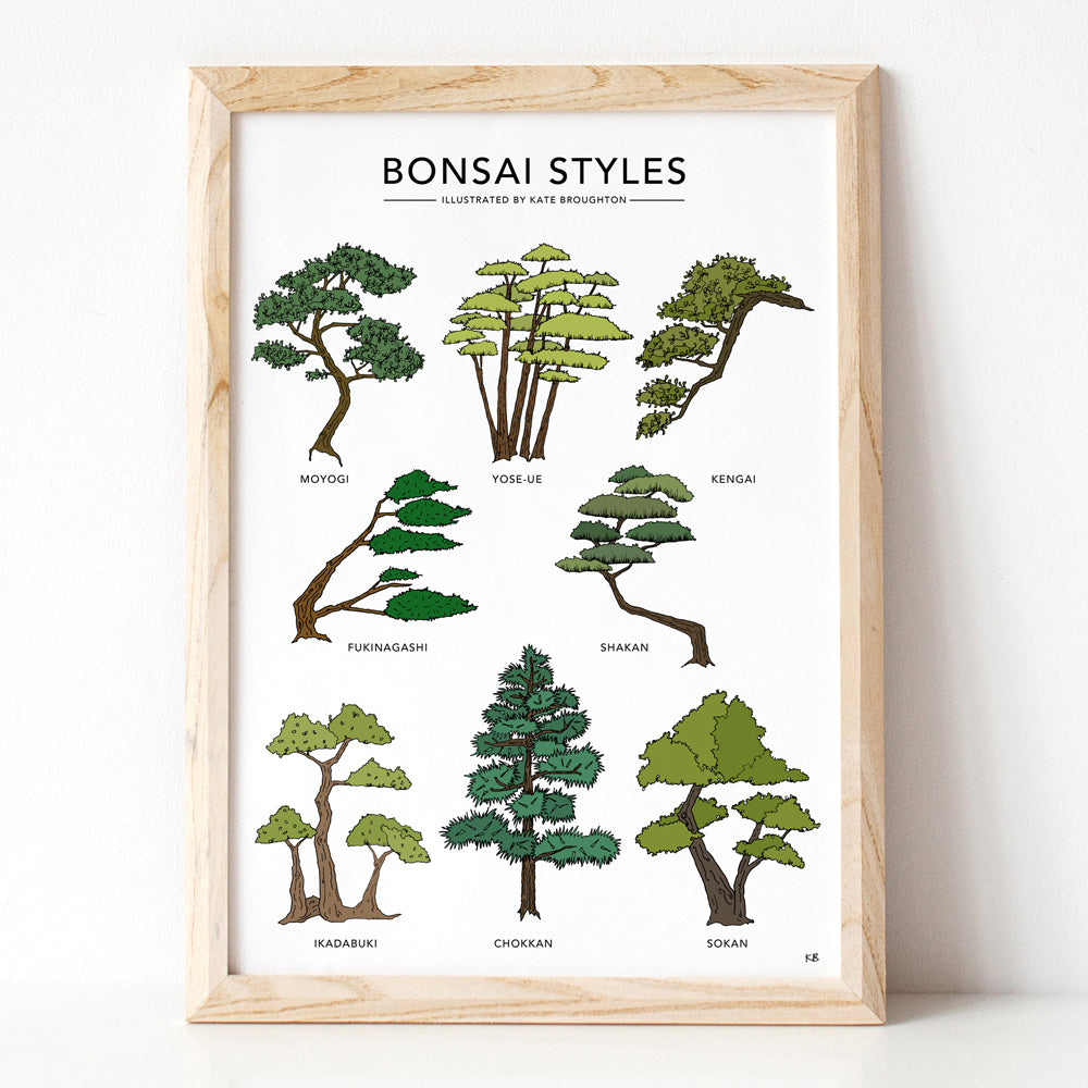 Bonsai Styles Print - katebroughton