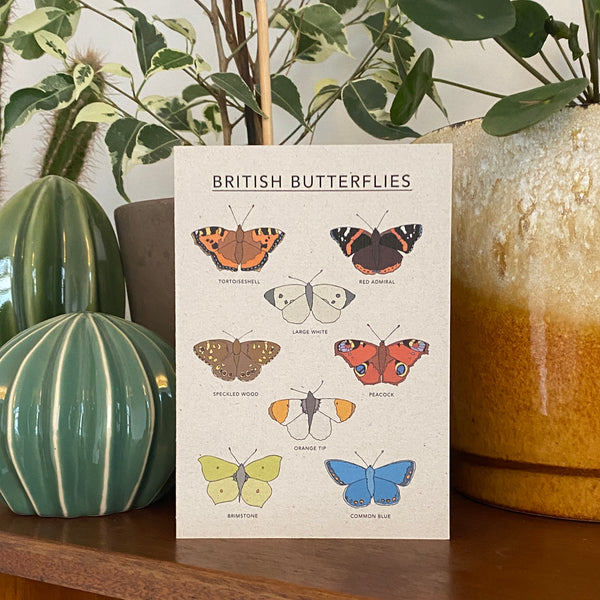British Butterflies Illustrated Card