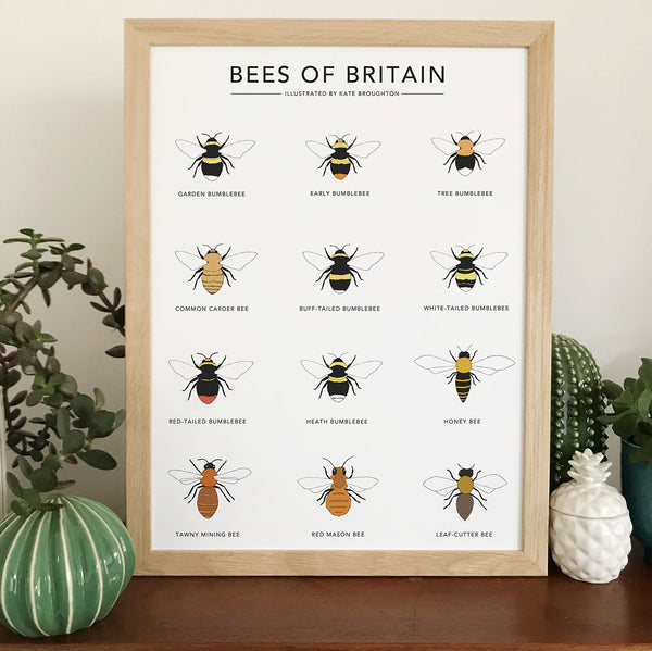 Bees of Britain Print