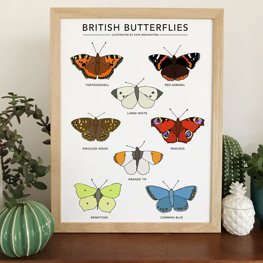 British Butterflies Print