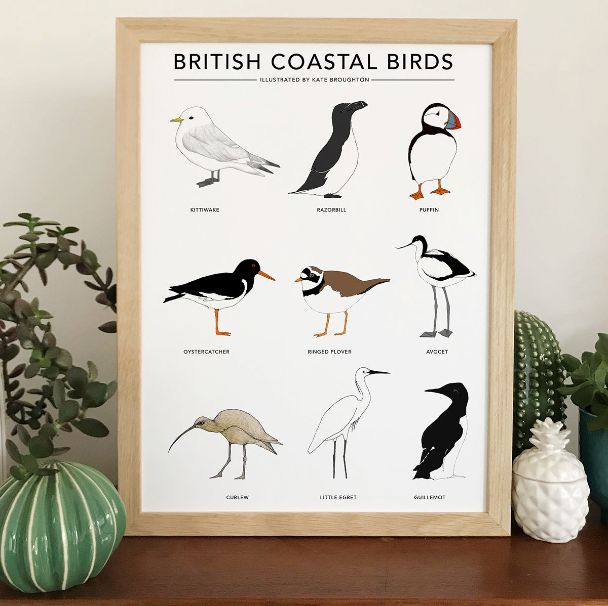 British Coastal Birds Print