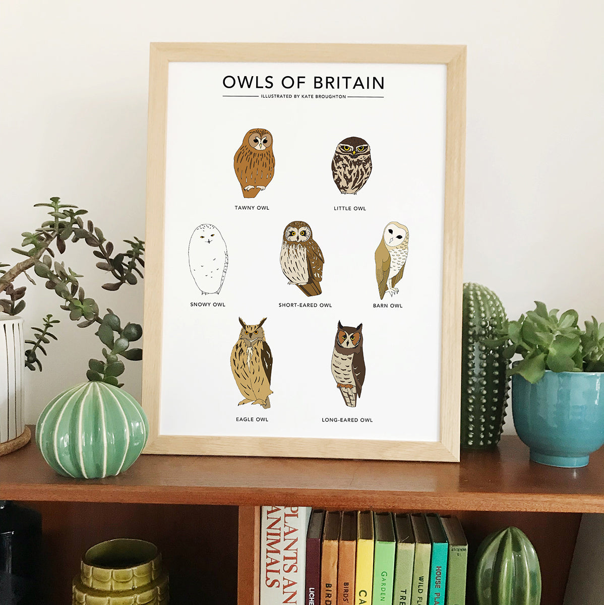 Owls of Britain Print