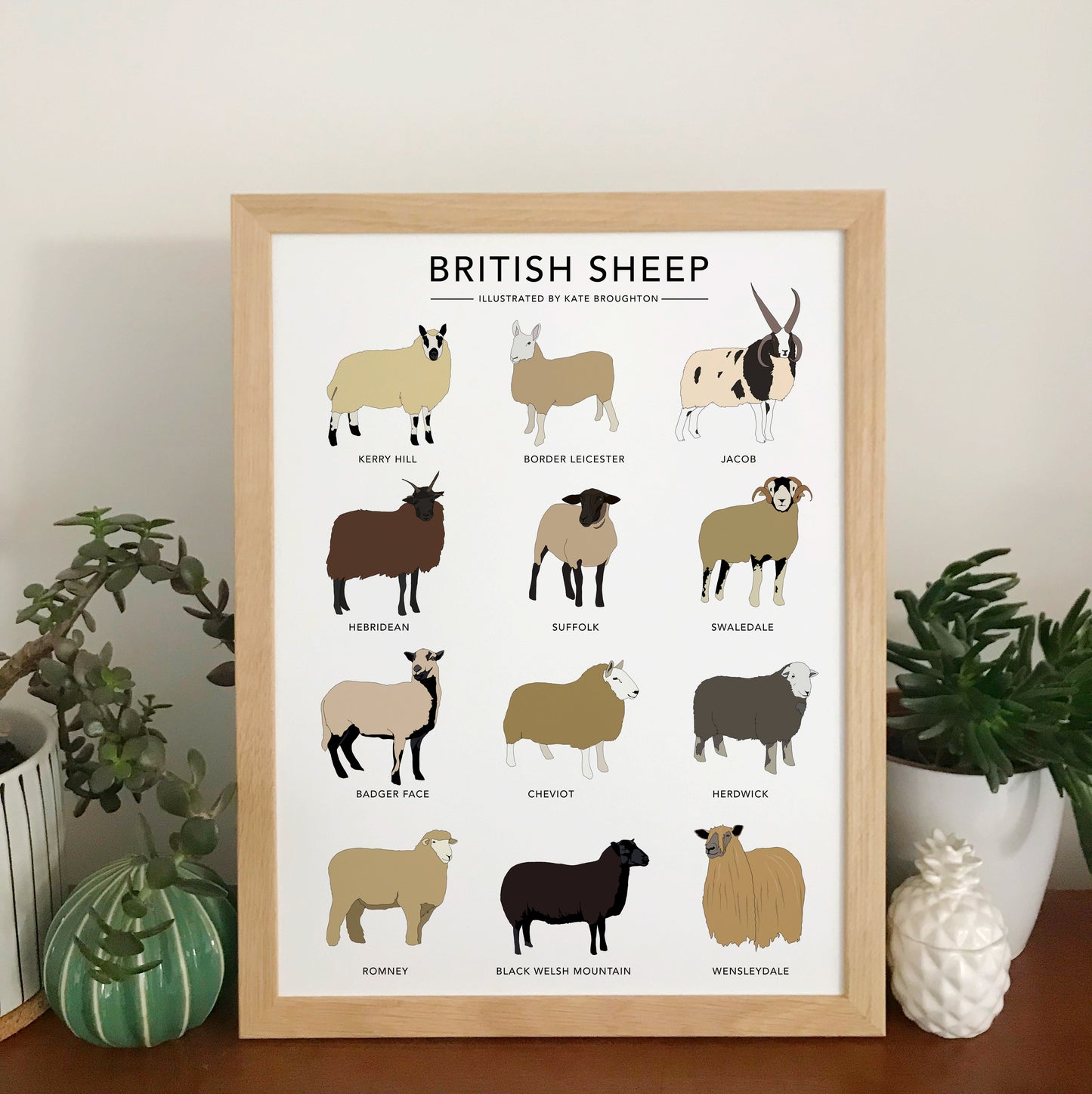 British Sheep Print - katebroughton
