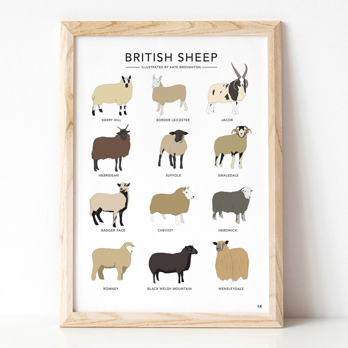 British Sheep Print - katebroughton