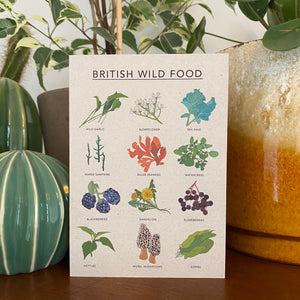 British Wild Food Illustrated Card