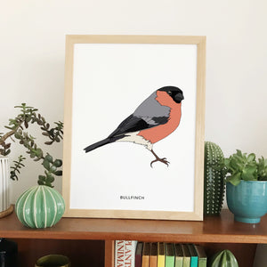 Bullfinch bird print