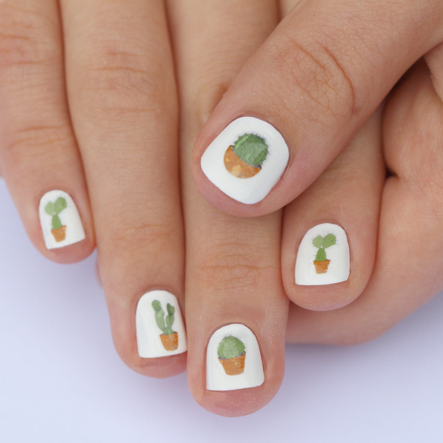 Cactus Nail Art Transfers - katebroughton