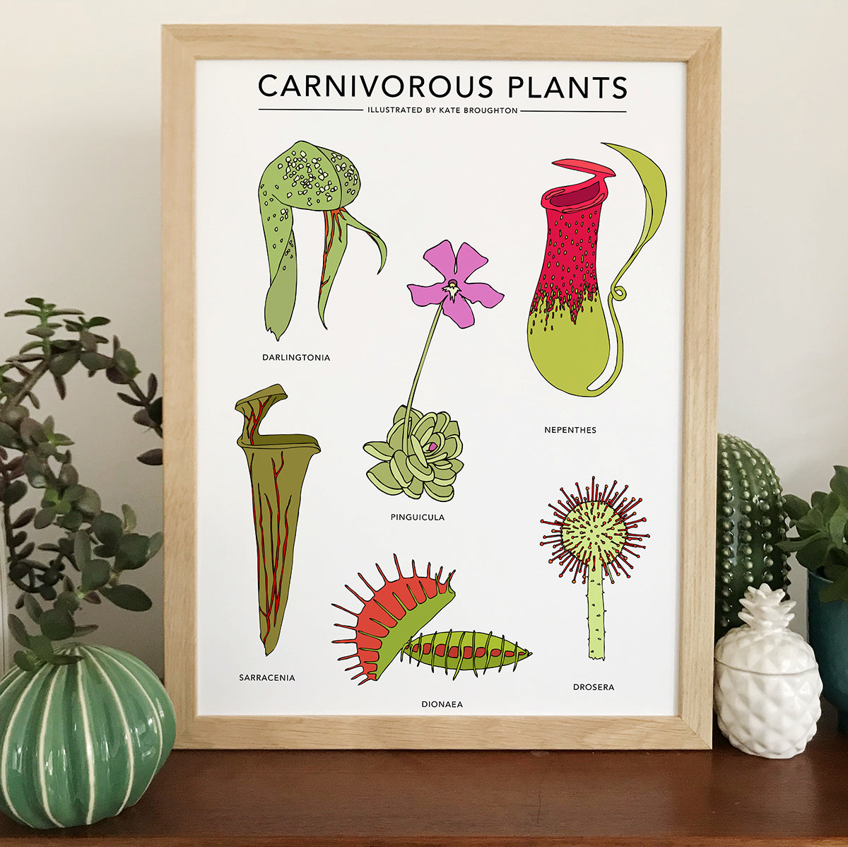 Carnivorous Plants Print - katebroughton