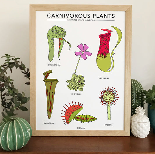 Carnivorous Plants Print