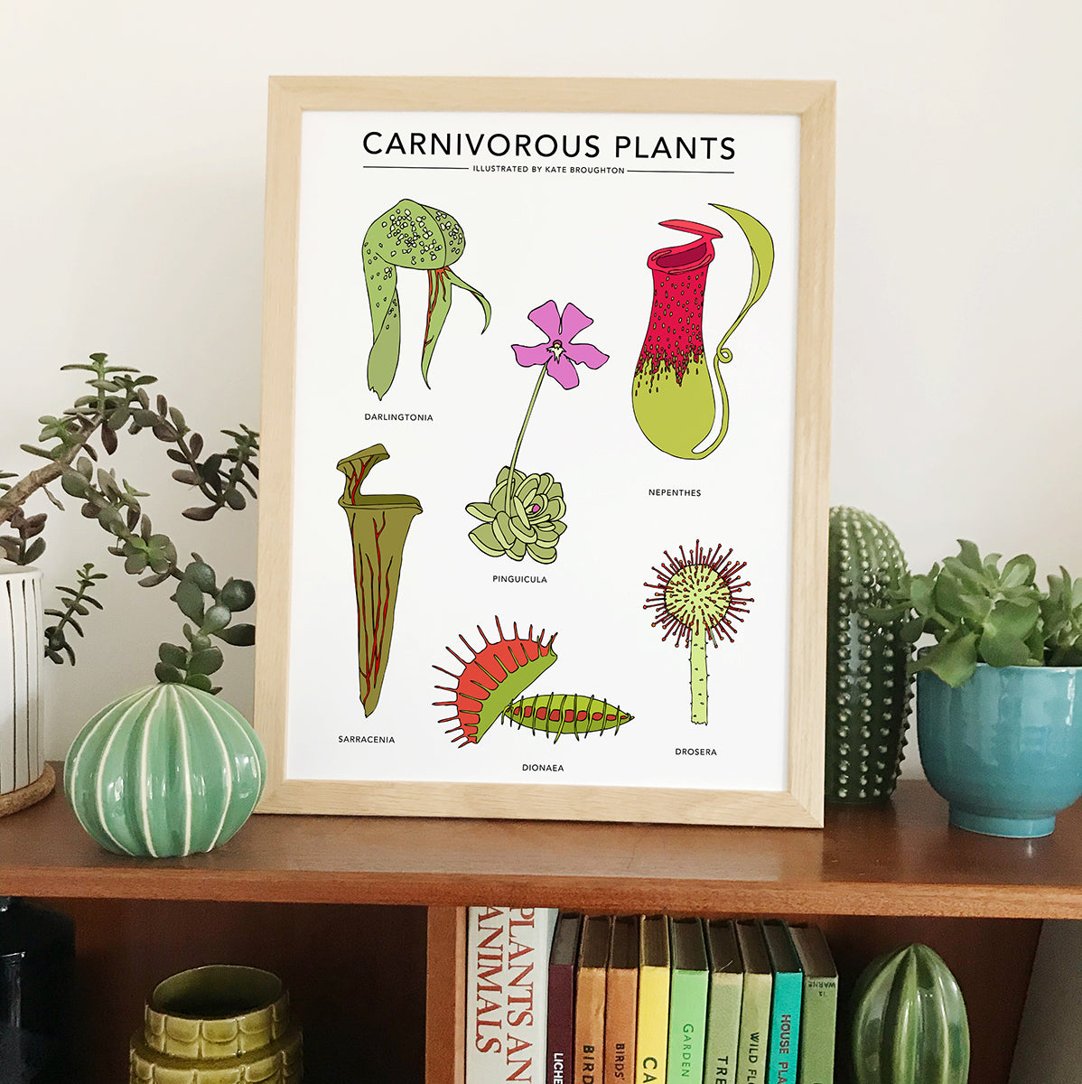 Carnivorous Plants Print - katebroughton