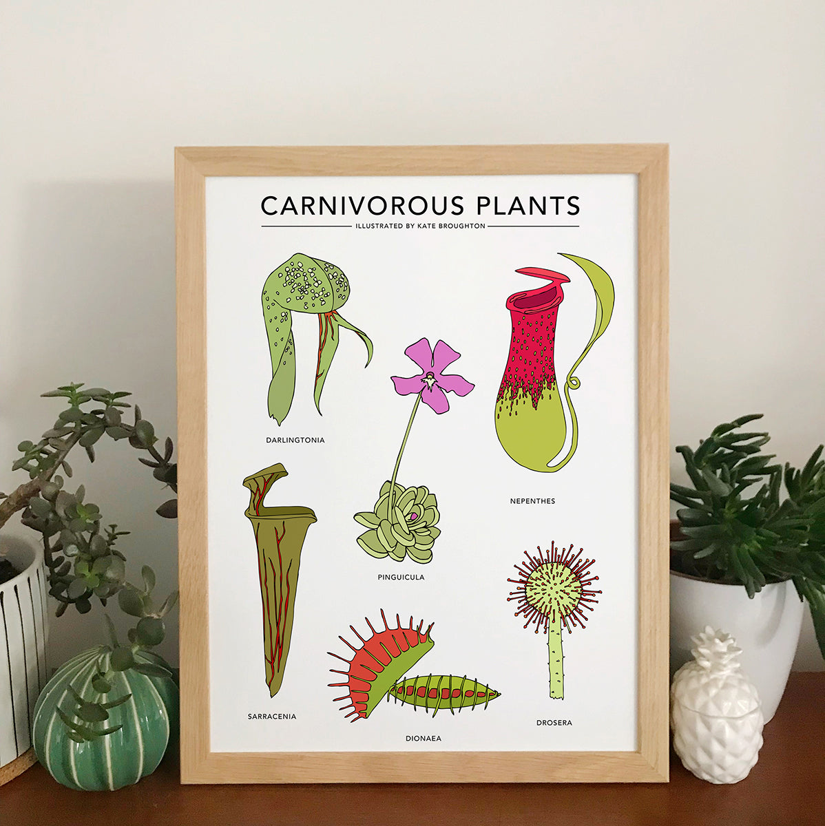 Carnivorous Plants Print - katebroughton