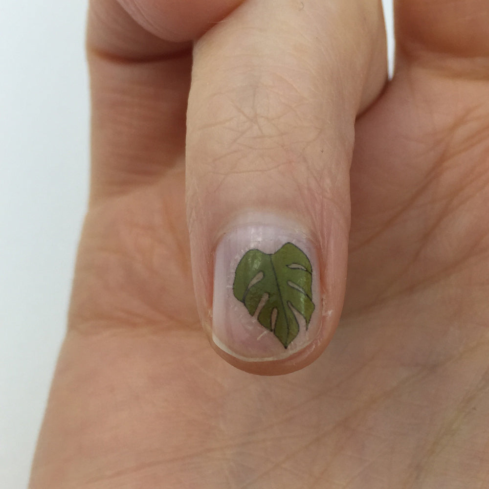 Monstera Nail Art Transfers - katebroughton