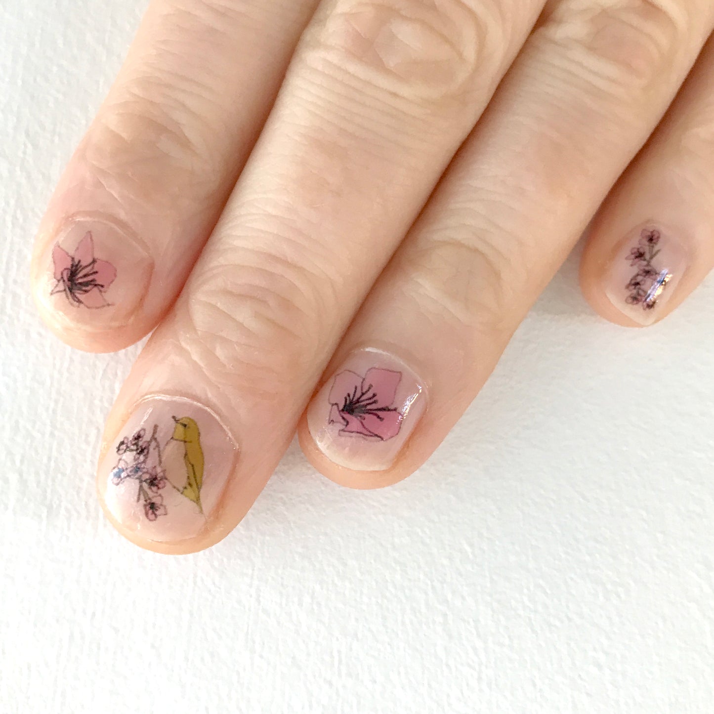 Cherry Blossom Nail Art Transfers - katebroughton