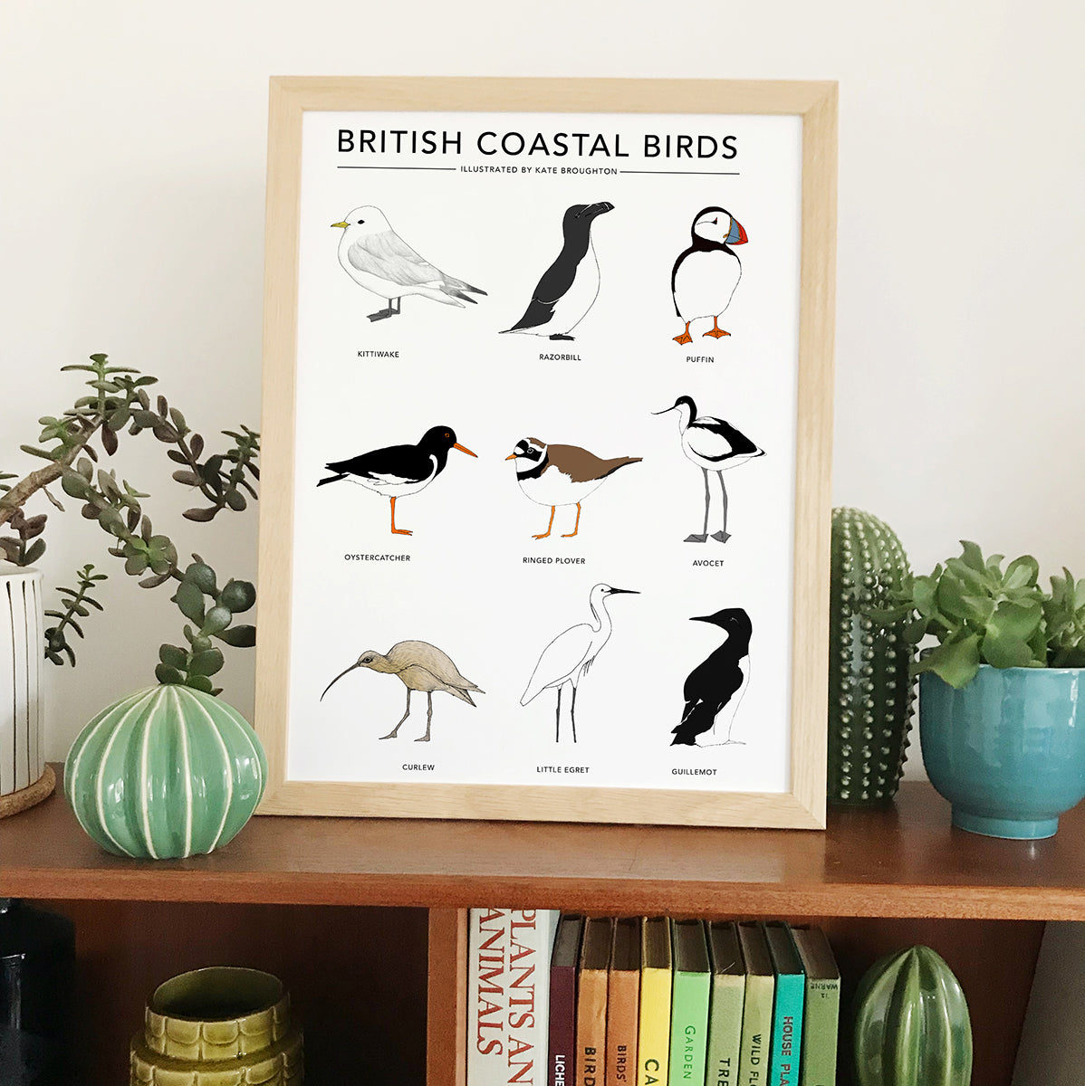 British Coastal Birds Print
