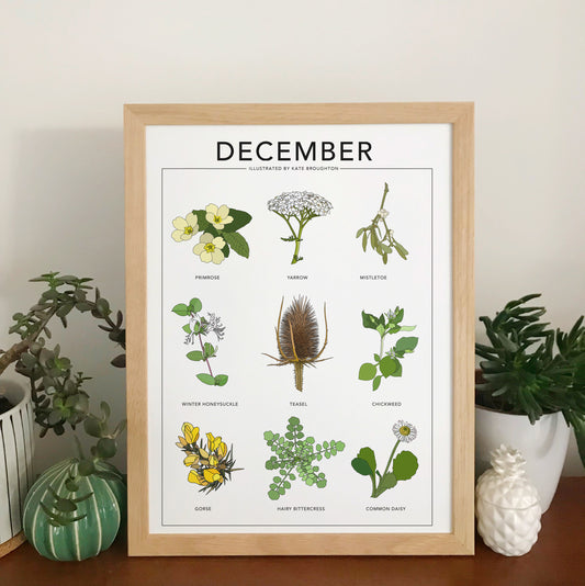 December wildflower nature print