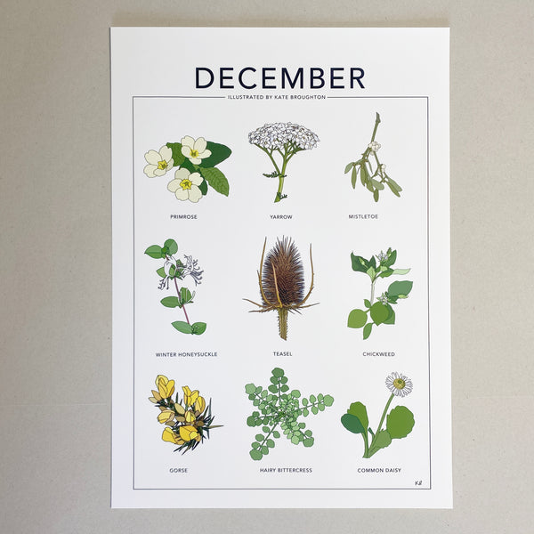 December wildflower nature print