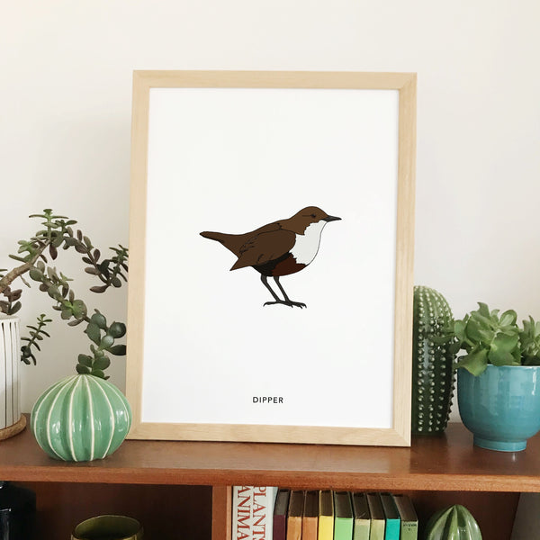 Dipper bird print