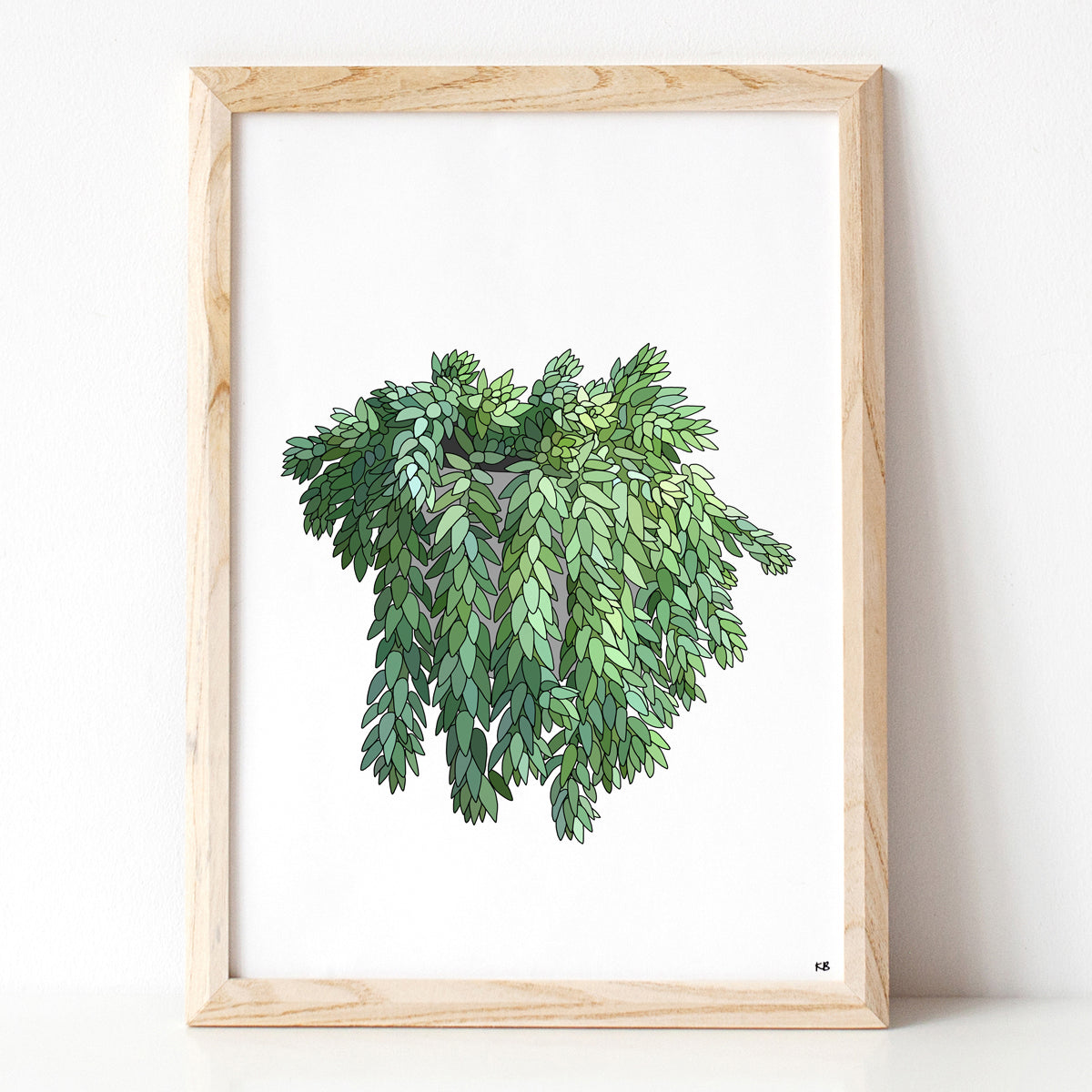 Donkey Tail Plant Print - katebroughton