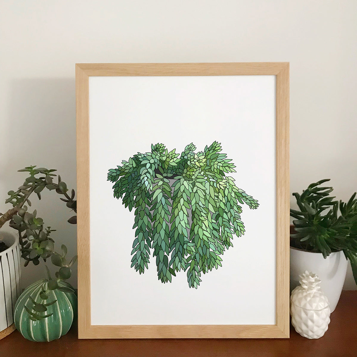 Donkey Tail Plant Print - katebroughton