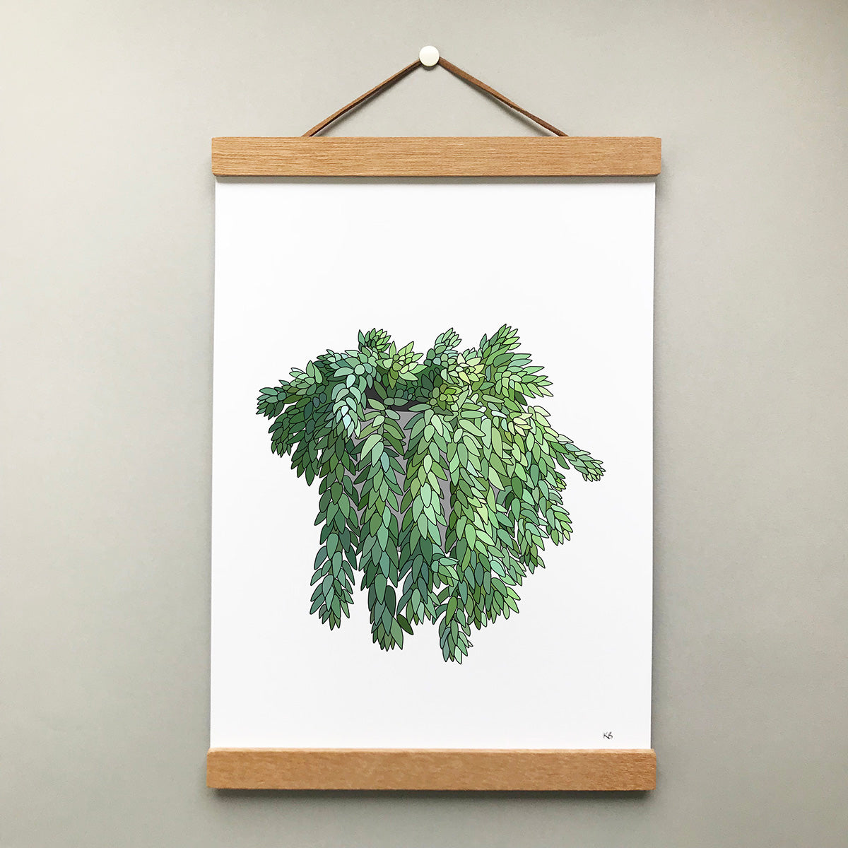 Donkey Tail Plant Print - katebroughton