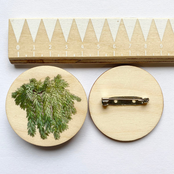 Donkey Tail plant wooden brooch