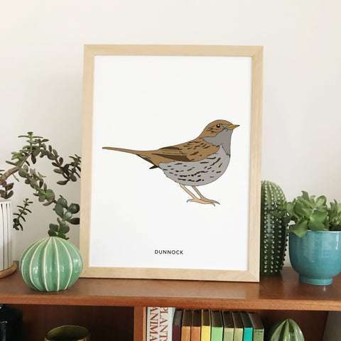 Dunnock bird print