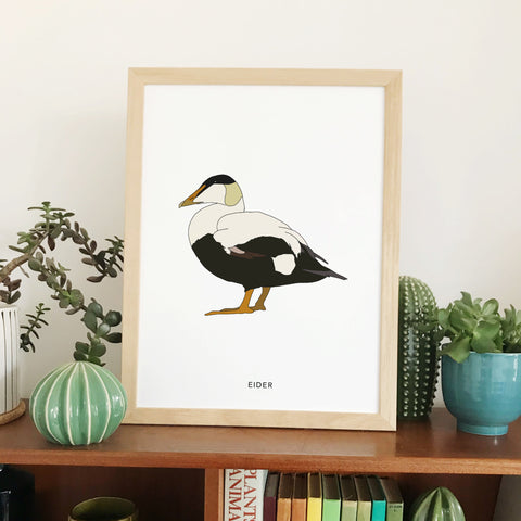 Eider bird print