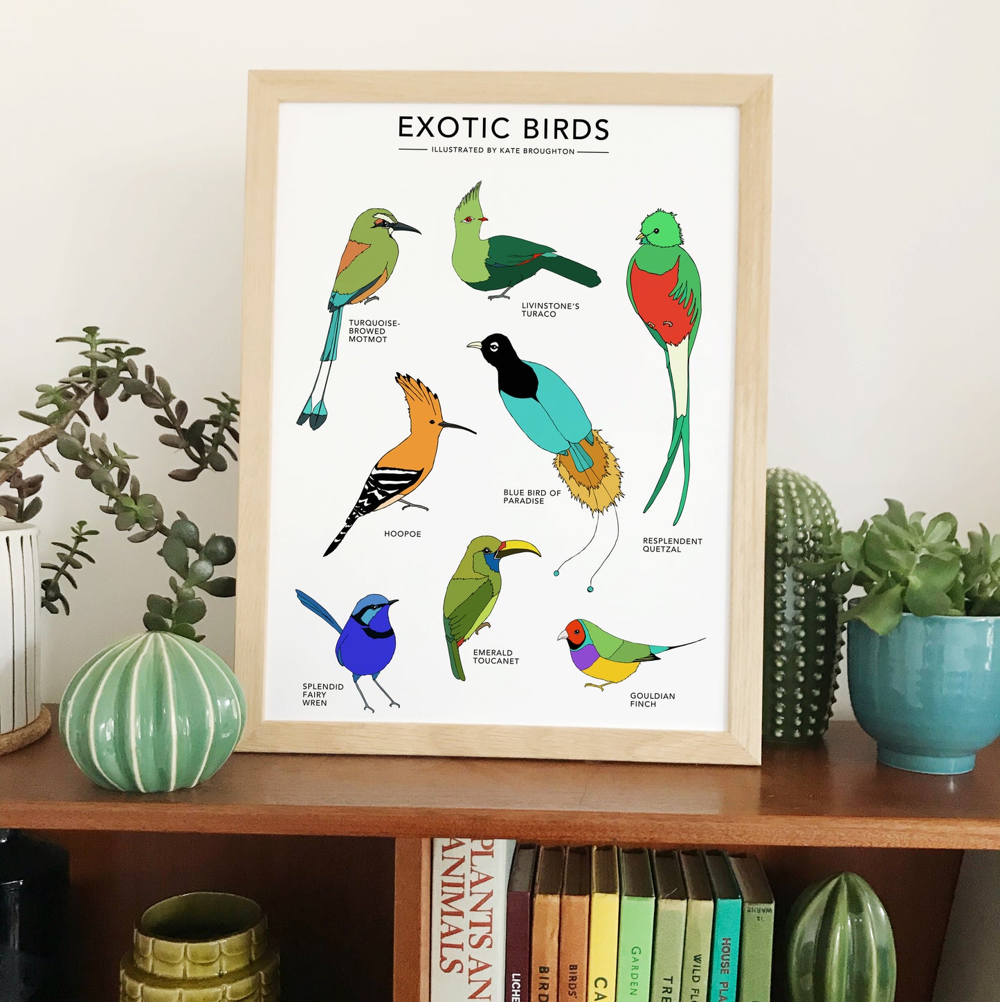 Exotic Birds Print - katebroughton