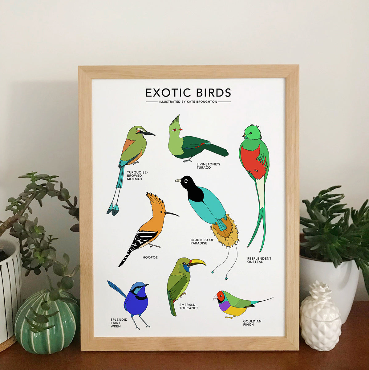 Exotic Birds Print - katebroughton