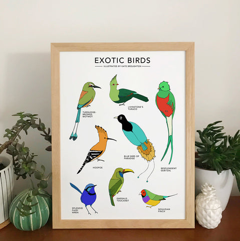 Exotic Birds Print