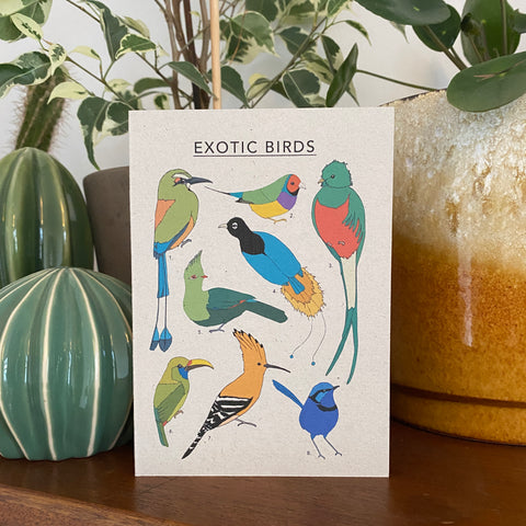 Exotic Birds Illustrated Card