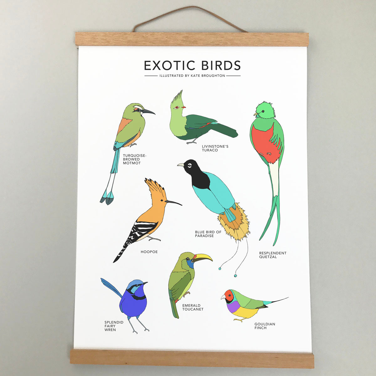Exotic Birds Print - katebroughton