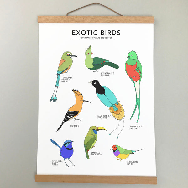 Exotic Birds Print