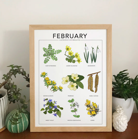 February wildflower nature print