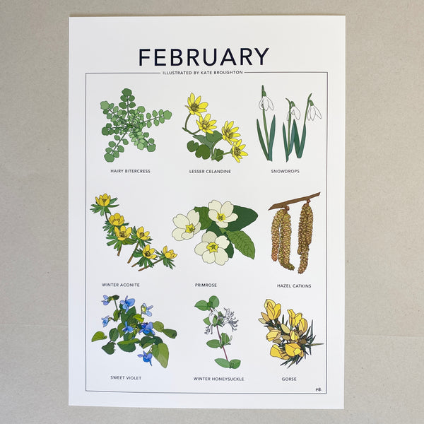 February wildflower nature print