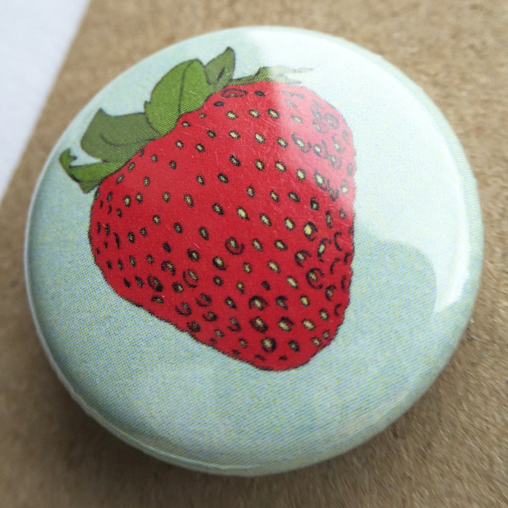 Fruit Fridge Magnets - katebroughton