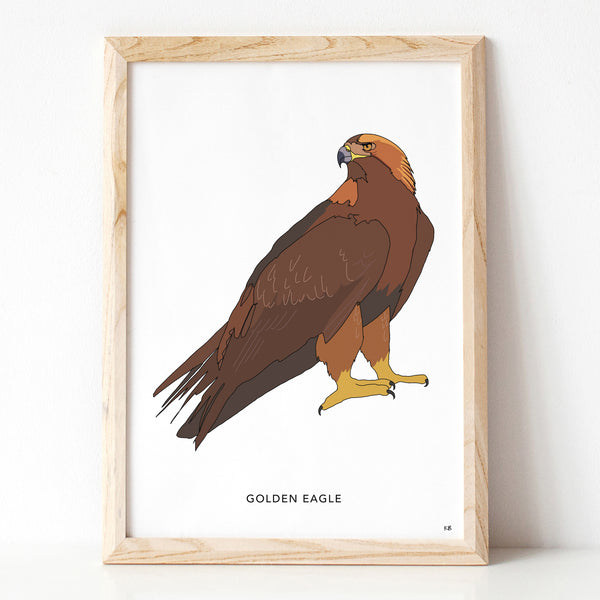 Golden eagle bird print