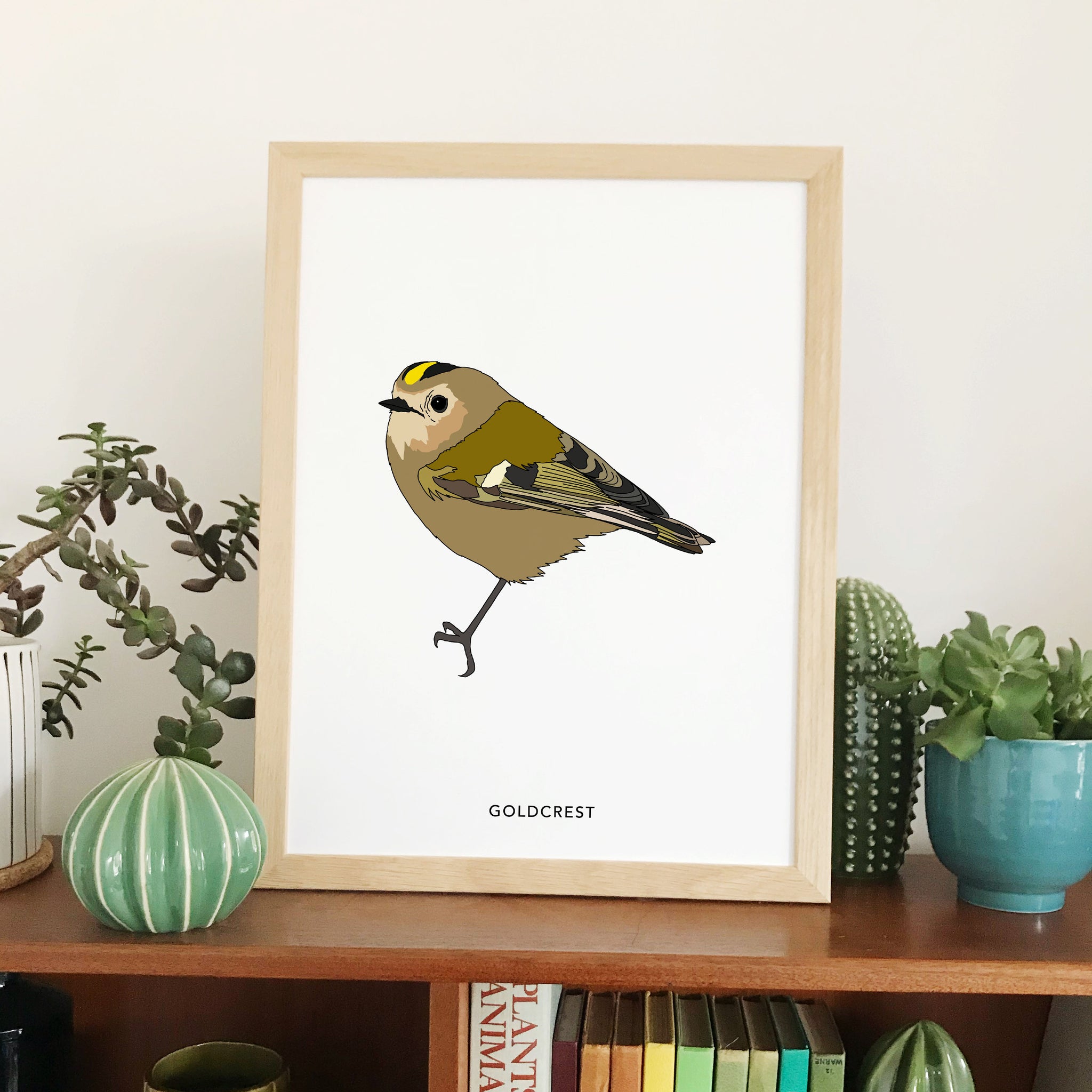 Goldcrest bird print