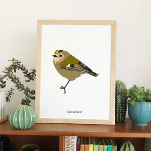Goldcrest bird print