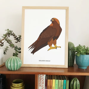 Golden eagle bird print