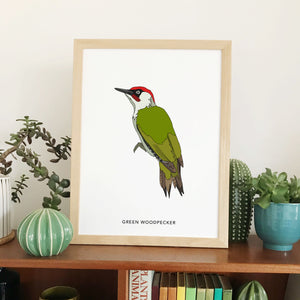Green Woodpecker bird print
