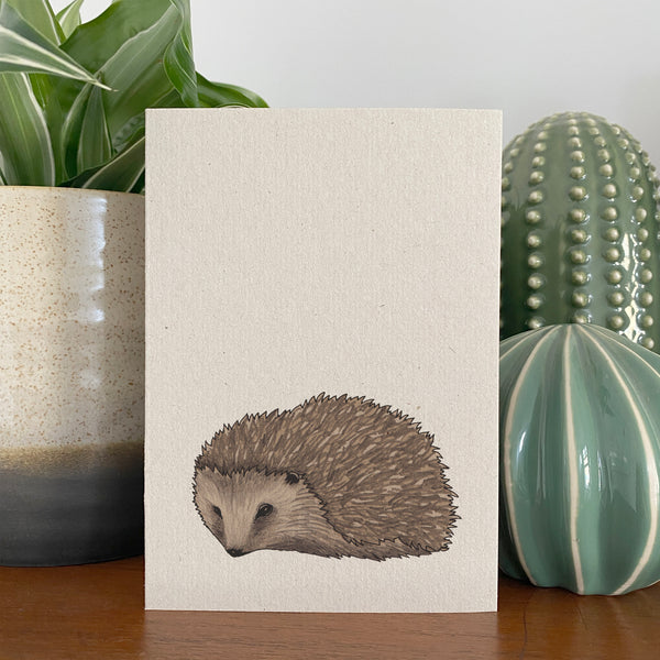 Hedgehog Illustrated Card
