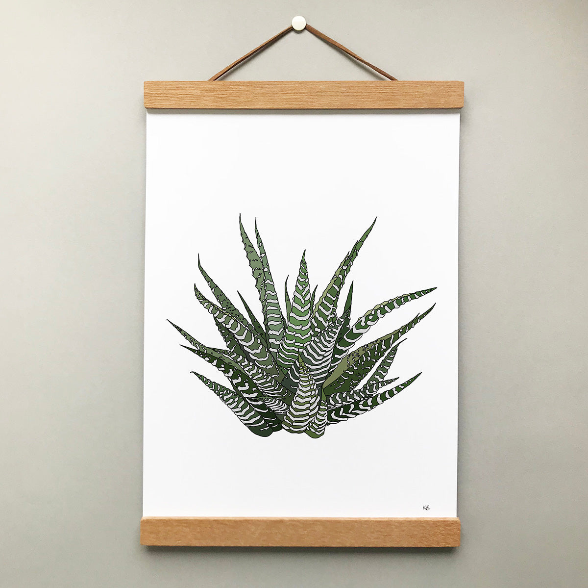 Howarthia Plant Print - katebroughton