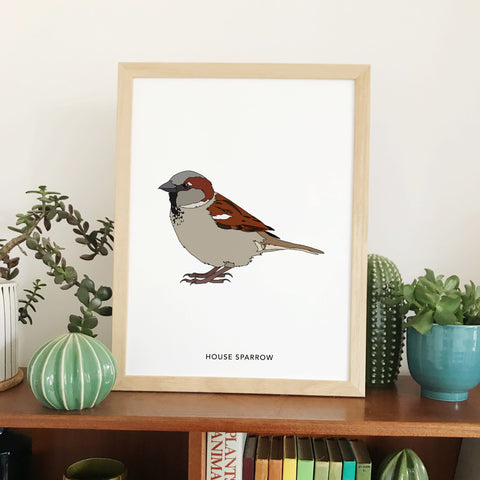 House Sparrow bird print
