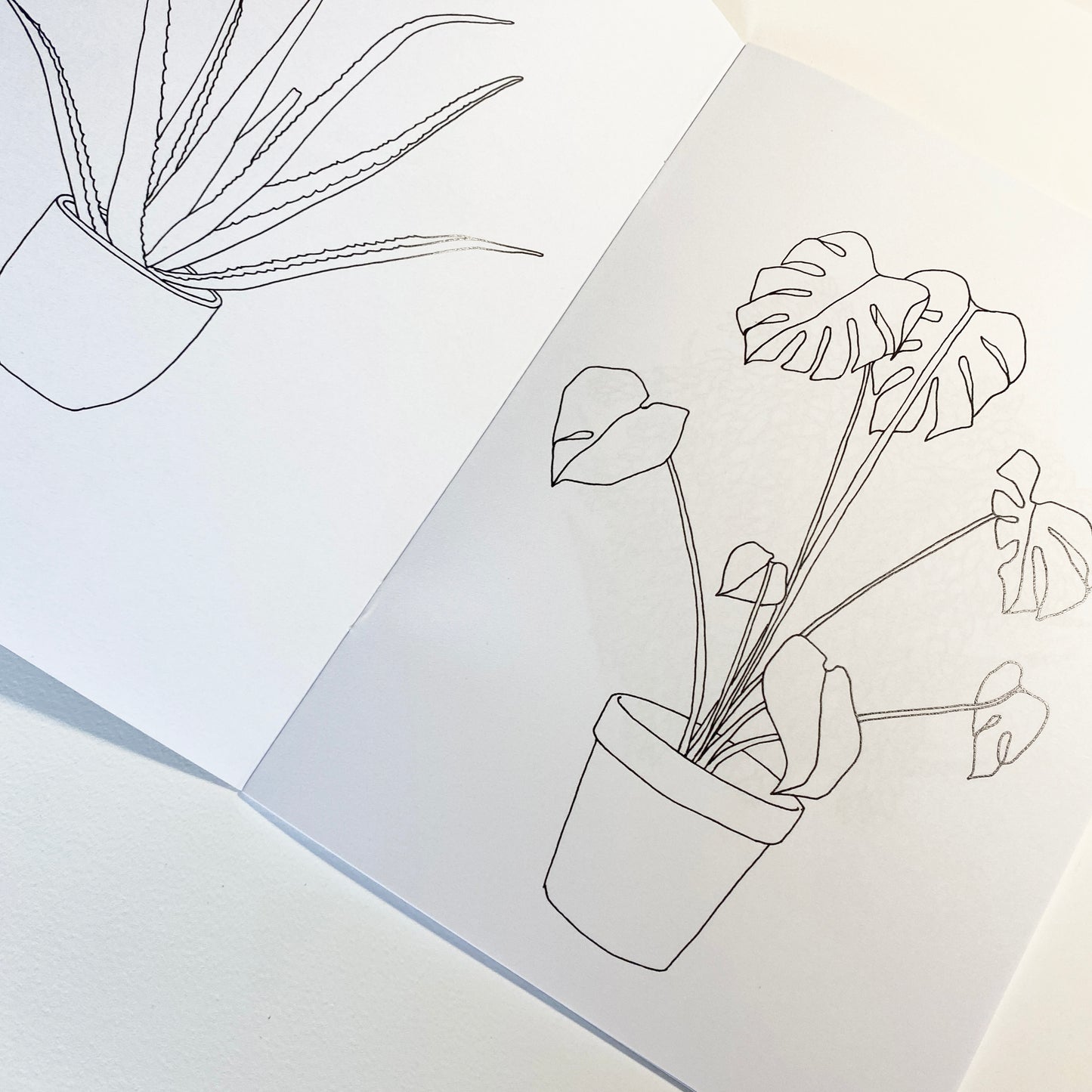 Houseplant Colouring Book
